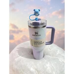 🧸🧸🧸STANLEY 40 OZ QUENCHER TUMBLER WATERCOLOR DUSK WITH CARE BEAR STRAW COVER